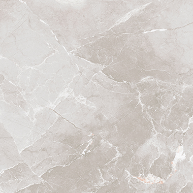 RY8065PA1